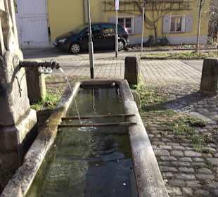 Steintrog-Brunnen Dorfstraße Lustnau