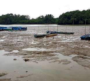 Rundgang Puerto Jeli