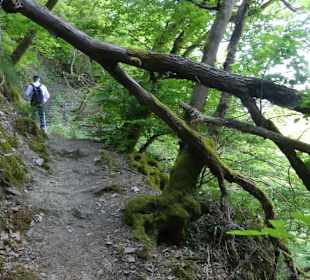 Unter dem Baum ging es weiter