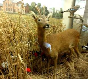 Diorama aus der Region