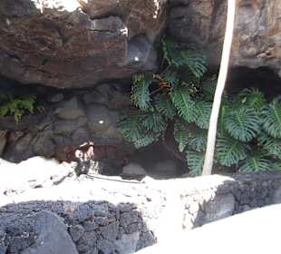 Impression der Fundacion