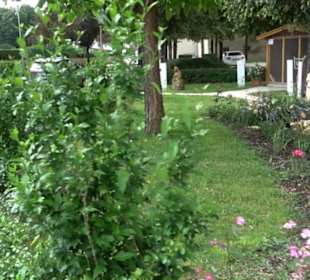 Historische Stadtmauer