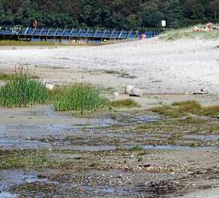 Impressionen vom Strandbad Solitüde