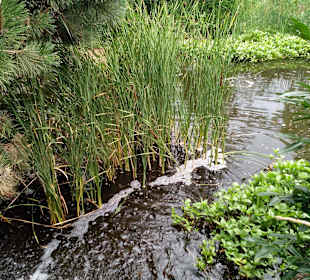 Schwabenpark in Welzheim