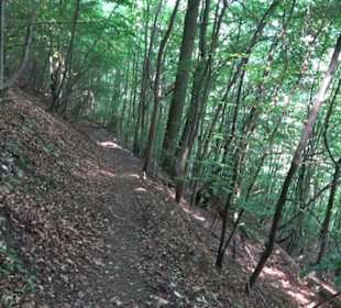 Premiumwanderweg "hochgelegen"