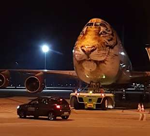 Schnappschuss russischer Jumbo