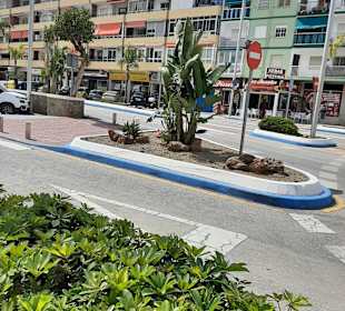 Stadtrundgang Torre del Mar