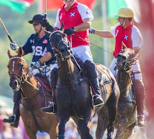 Newport International Polo Series