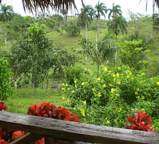 Truck Safarie mit RH.