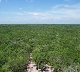 Ausblick von der Pyramide Nohoch Mul
