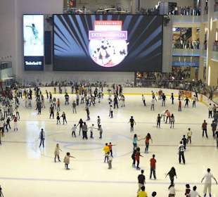 Dubai Mall - Ice Rink