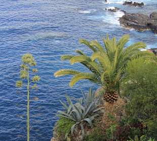 Wandern Puerto de la Cruz	