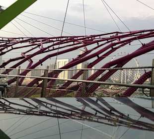 View from Supertree by Indochine - Singapore