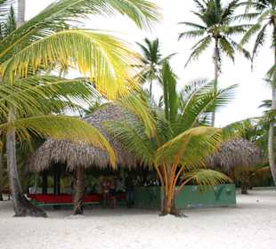 Isla Saona (Bacardi-Insel)