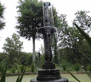 Pfaueninsel-Impression