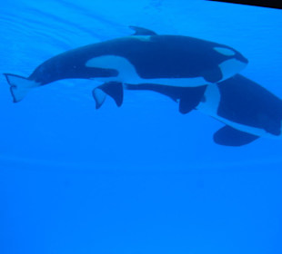 Tour "Hinter den Kulissen"