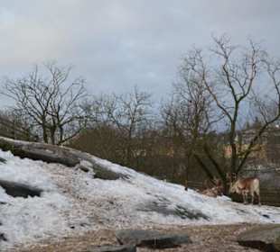 Freilichtmuseum Skansen