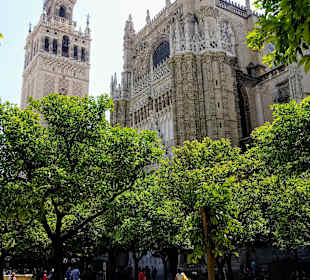 Kathedrale von Sevilla