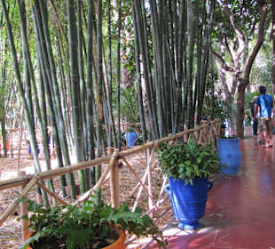 Jardin Majorelle