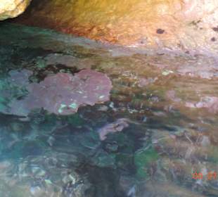 Bootstour zur großen Grotte