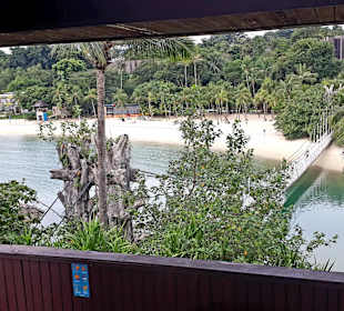 Ausblick Aussichtsturm