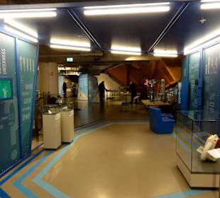 Exponate des Universums