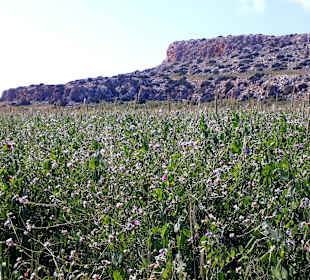 Nationalpark Kap Greco