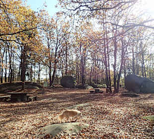 Naturpark Blockheide