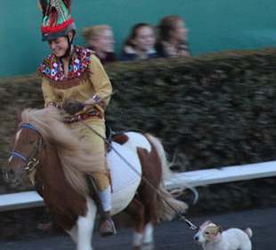 Hengstparadenspaß