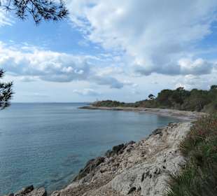 Insel Alcanada