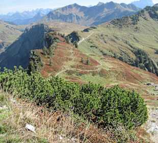 Wanderweg zum Kreuzle
