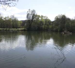 Sport- und Freizeitpark Markwasen