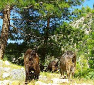 Anfahrt zum Staudamm von Side nach Manavgat