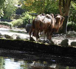 Tierpark Hagenbeck