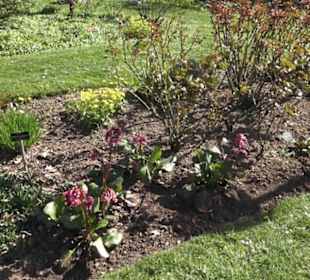 Rosengarten 