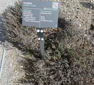 Erläuterungen der Kräuter