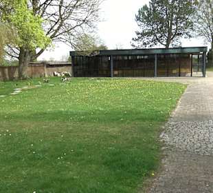 Friedhof Seißen