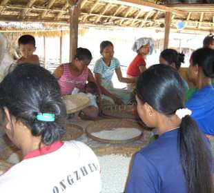 Frauen beim Reis säubern