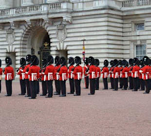 The Queen's Guards