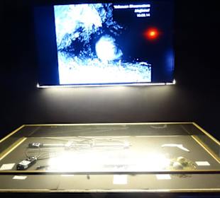 Im Aquarium unterwegs