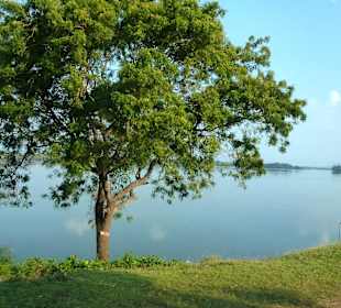 Zwischen Anurathapura und Giritale