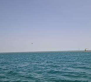 Das Rote Meer