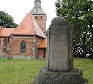 Wygląd zewnętrzny