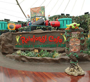 Sawgrass Mills Rainforst Cafe