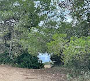 Wandern Sa Coma