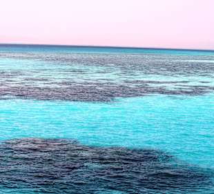 Traumhafte Schnorchel/Tauchlocation