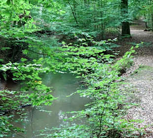 Am Bach Welse im Delmenhorster Tiergarten