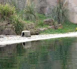Zoologischer Stadtgarten