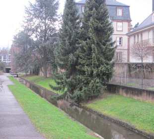 Impressionen Molsheim