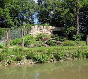 ZOO Lešná